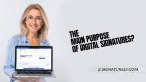 The Main Purpose of Digital Signatures?